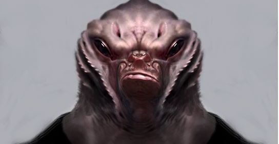 Mission Brief (ADV013): A New Warp Signal