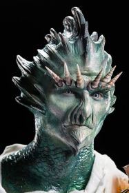 Alien Species: Vaksian