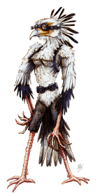 New Species: Nibizan