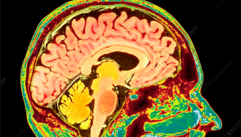 Bill Barbato’s Mission Briefs: The Memory Remains