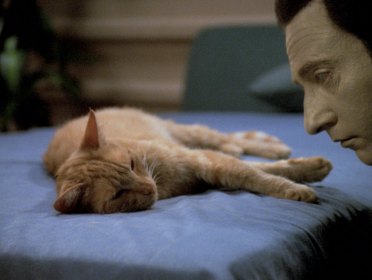 Ode to Spot: His Datafile (Meow)